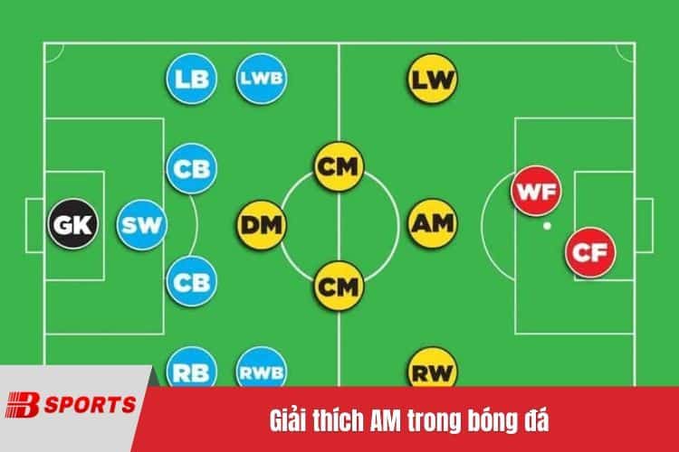 Giải thích AM trong bóng đá