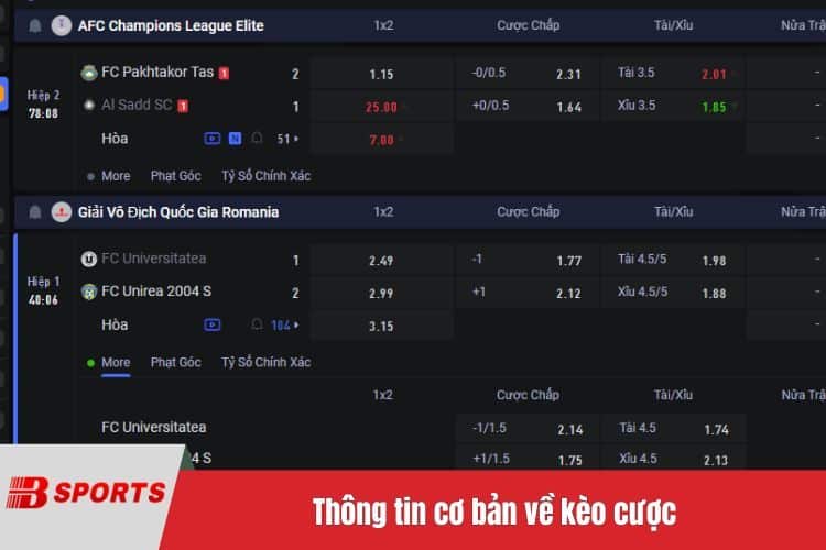 Thông tin cơ bản về kèo cược