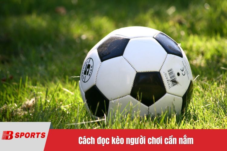 Cách đọc kèo người chơi cần nắm